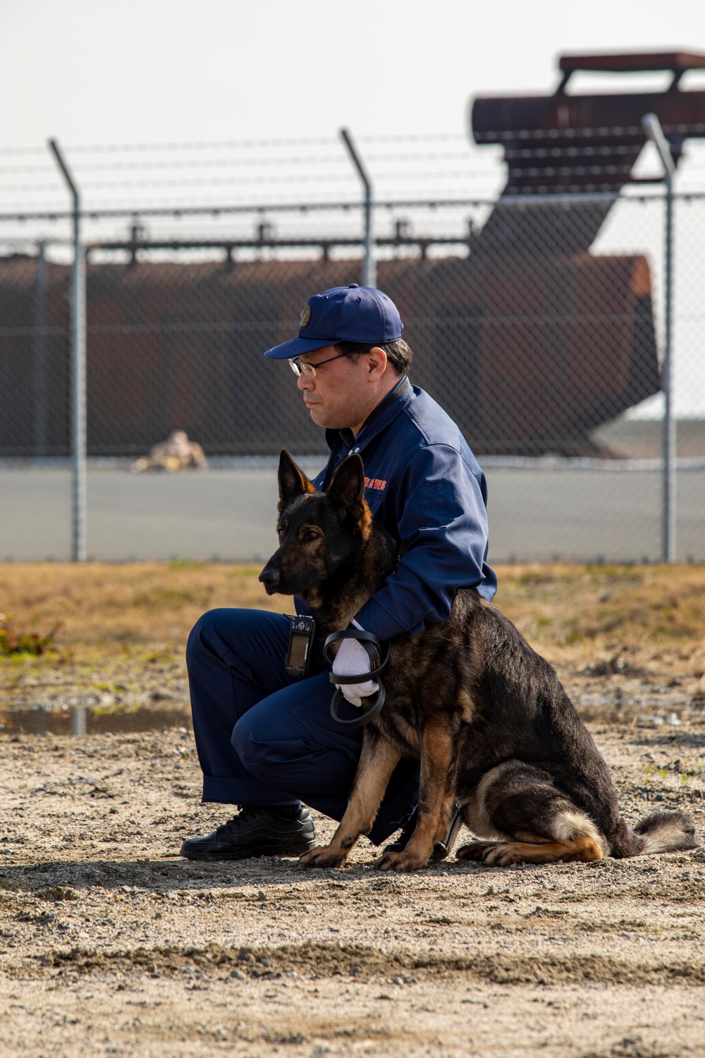 All Bite: U.S. Marines train Japan Maritime Self-Defense Force military working dogs to identify improvised explosive devices.