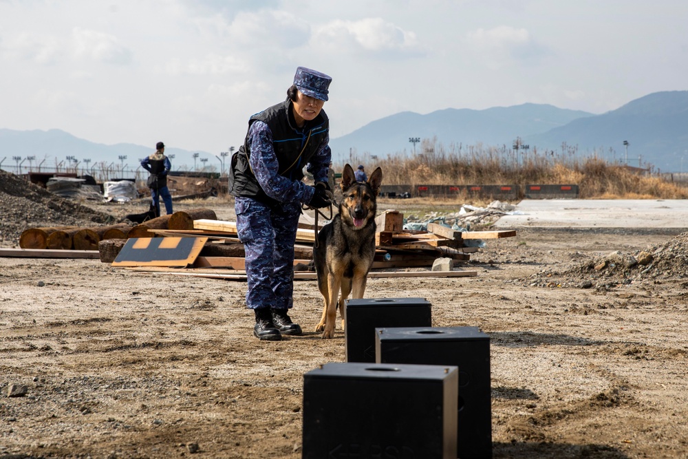 All Bite: U.S. Marines train Japan Maritime Self-Defense Force military working dogs to identify improvised explosive devices.