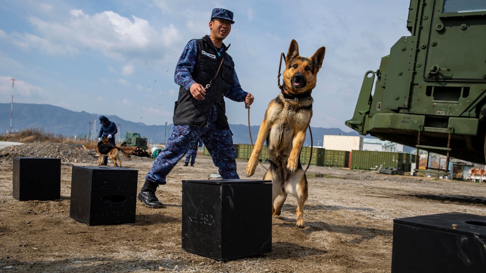 All Bite: U.S. Marines train Japan Maritime Self-Defense Force military working dogs to identify improvised explosive devices.