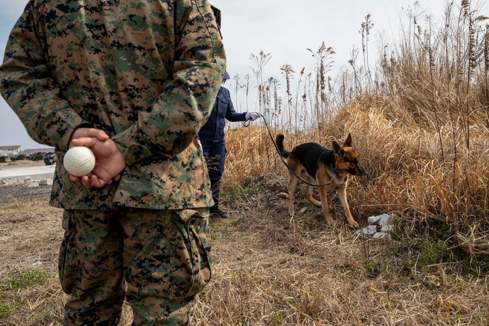 All Bite: U.S. Marines train Japan Maritime Self-Defense Force military working dogs to identify improvised explosive devices.