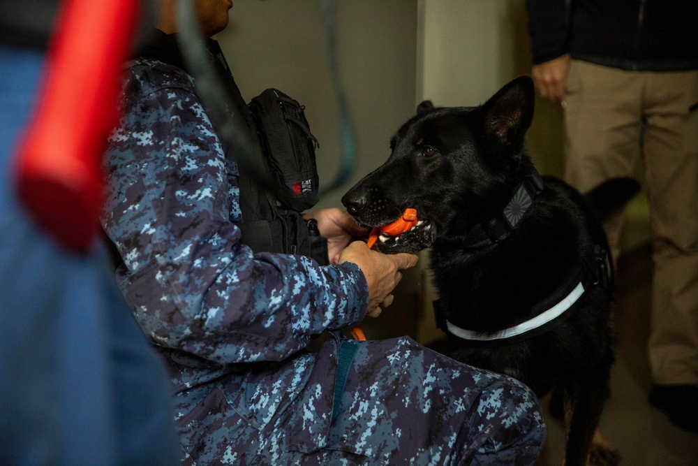 All Bite: U.S. Marines train Japan Maritime Self-Defense Force military working dogs to identify improvised explosive devices.