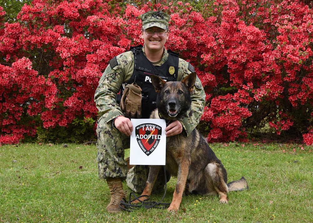 NAS Meridian MWD Adopted