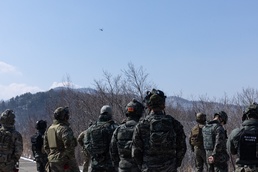 Warrior Shield 24 | Tactical air control part live fire range