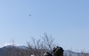 Time on Target: 5th ANGLICO Calls in Air Strikes with ROK Marines at Warrior Shield 24
