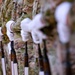 Firing Party: Yokota, Misawa honor guardsmen complete U.S. Air Force Honor Guard basic course