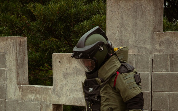 US Marines with Marine Wing Support Squadron 172 train to counter the threat of improvised explosive devices