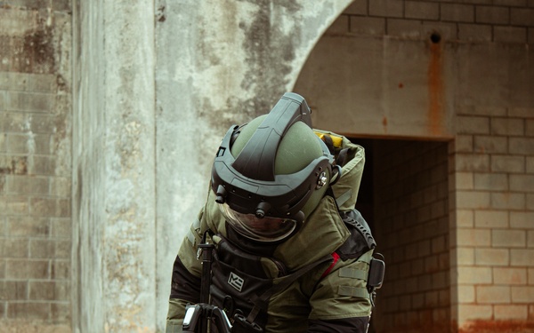 US Marines with Marine Wing Support Squadron 172 train to counter the threat of improvised explosive devices