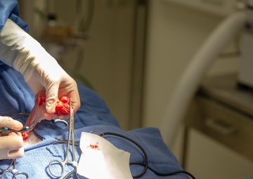 On the Operating Table