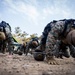 Warrior Shield 24: U.S. Marines Execute Rappel training