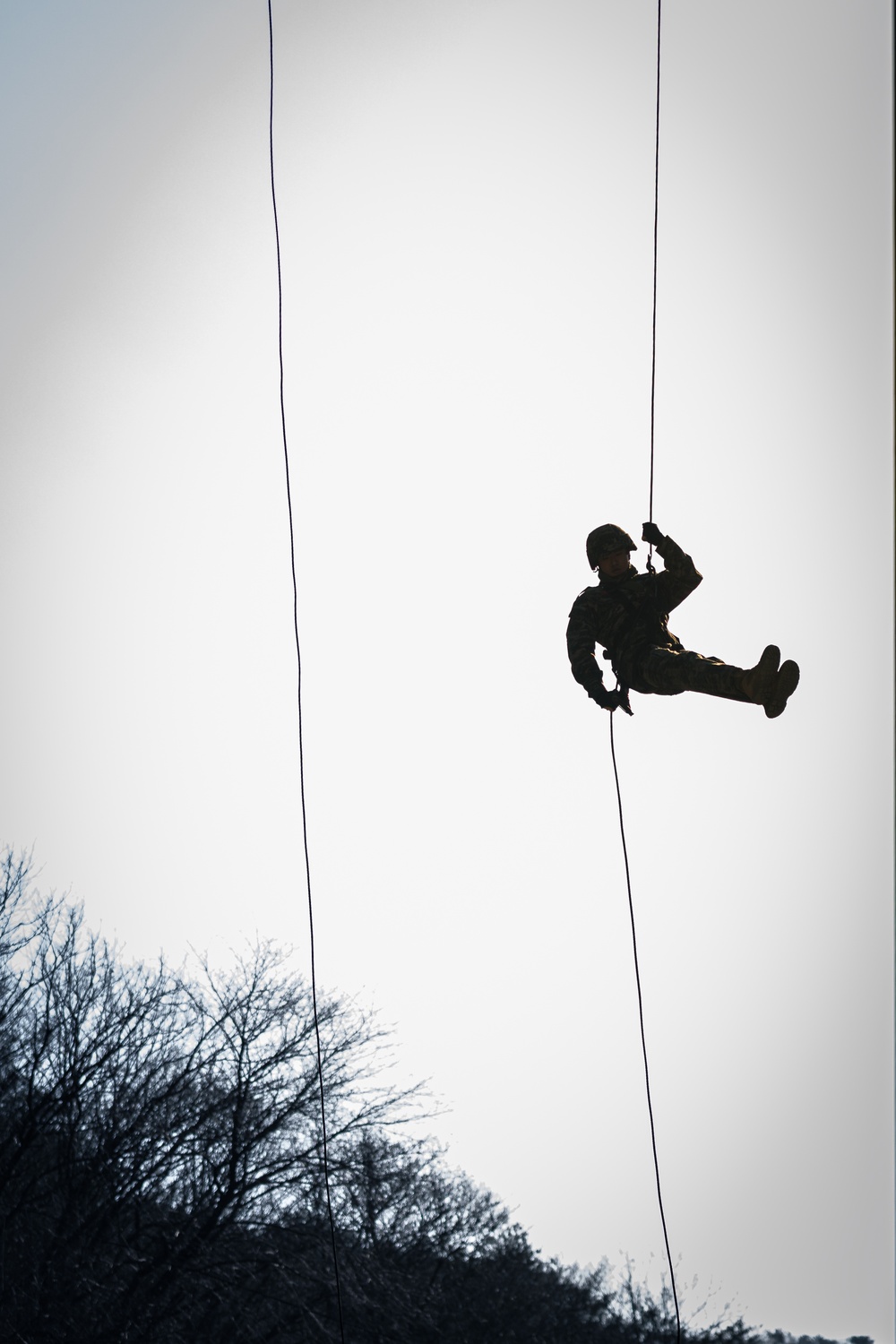 Warrior Shield 24: U.S. Marines Execute Rope and Rappel training