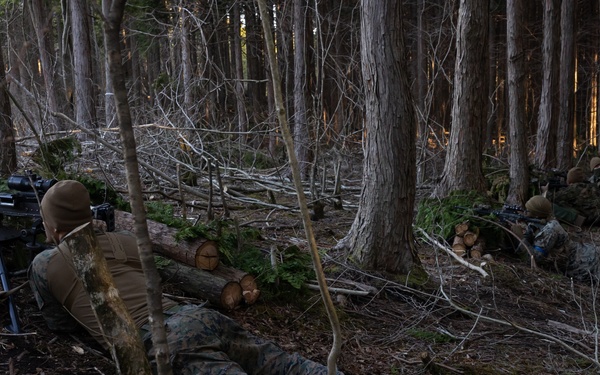 Weapons Co, BLT 1/1 PEX