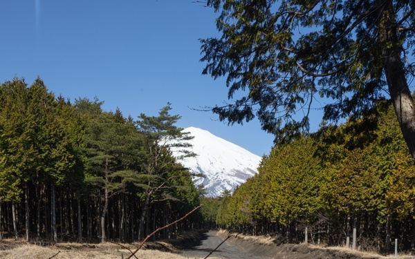 Weapons Co, BLT 1/1 PEX