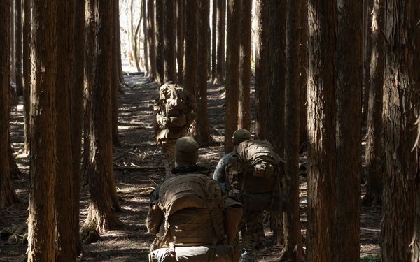 Weapons Co, BLT 1/1 PEX