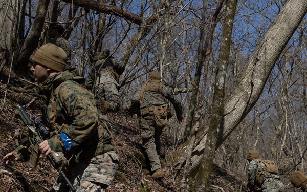 Weapons Co, BLT 1/1 PEX