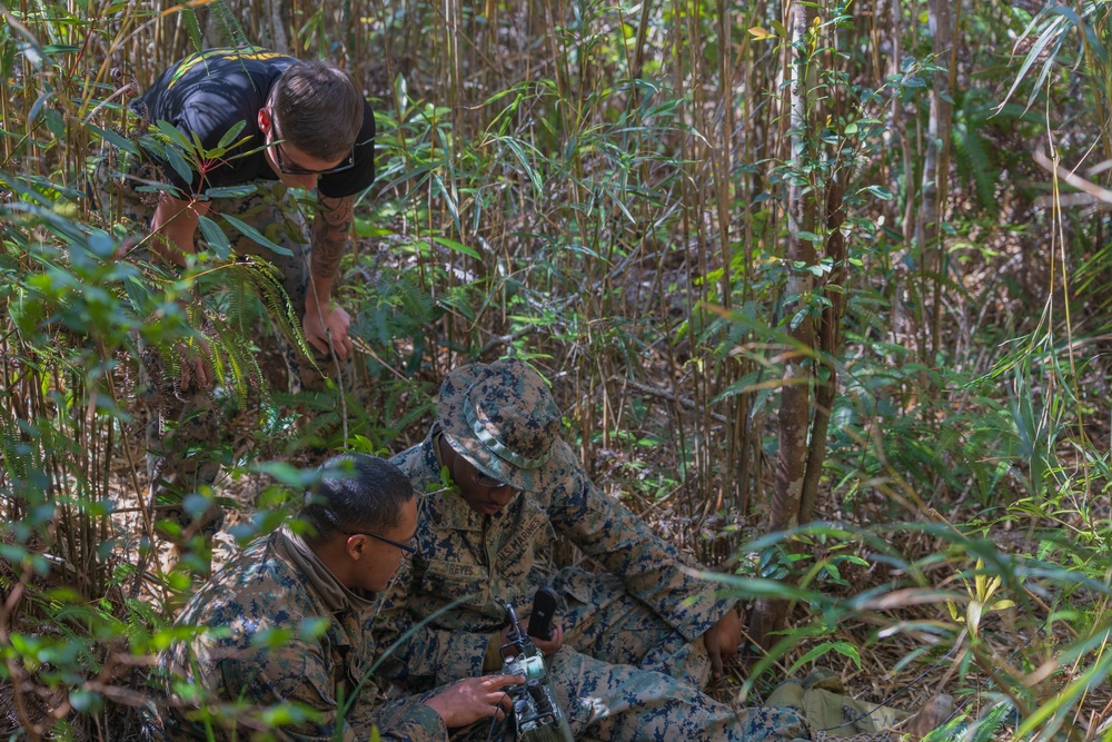 Jungle Leaders Course