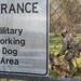 MWD at Work: The Penultimate Moment