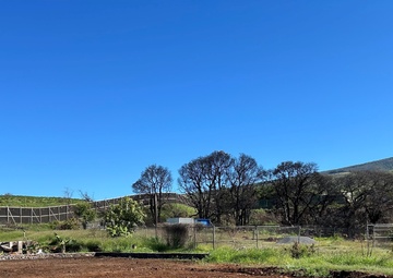 USACE reaches milestone in Hawai‘i wildfire debris removal mission