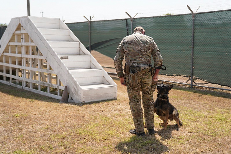 7th Special Forces Group conducts Multipurpose Canine training with Honduran military