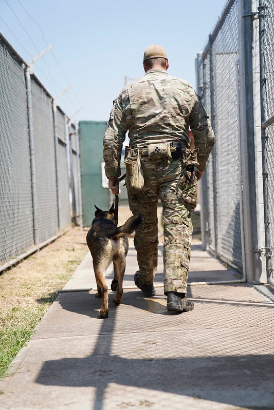 7th Special Forces Group conducts Multipurpose Canine  training with Honduran military