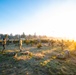Pacific Lutheran University ROTC Cadets train at JBLM for Lute Paratus