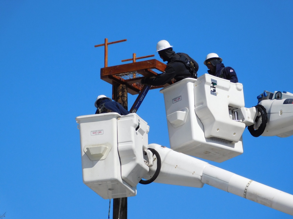 NAVFAC PWD Great Lakes and Troop 46 Eagle Scout Service Project Install Osprey Nesting Platform