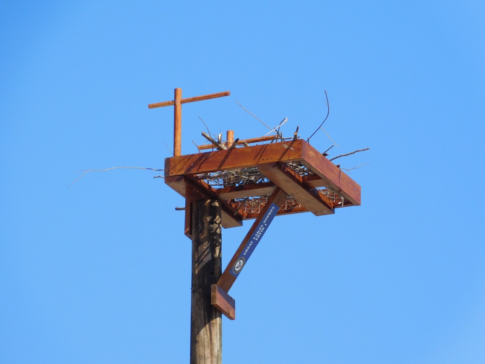 NAVFAC PWD Great Lakes and Troop 46 Eagle Scout Service Project Install Osprey Nesting Platform