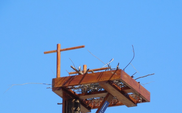 NAVFAC PWD Great Lakes and Troop 46 Eagle Scout Service Project Install Osprey Nesting Platform