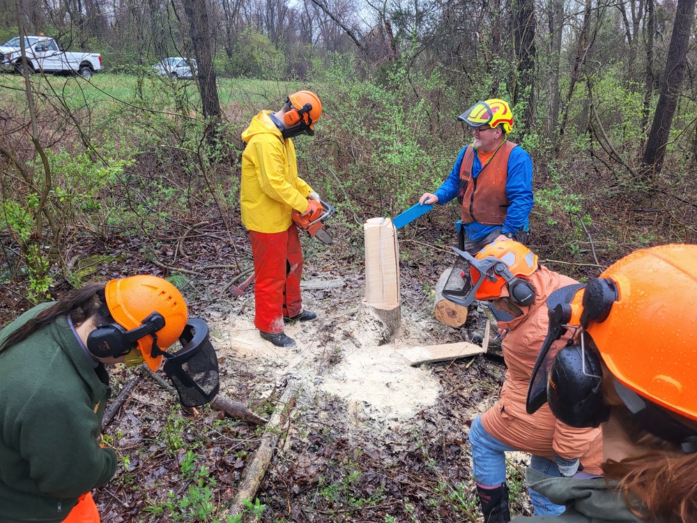 Chainsaw Training 2024