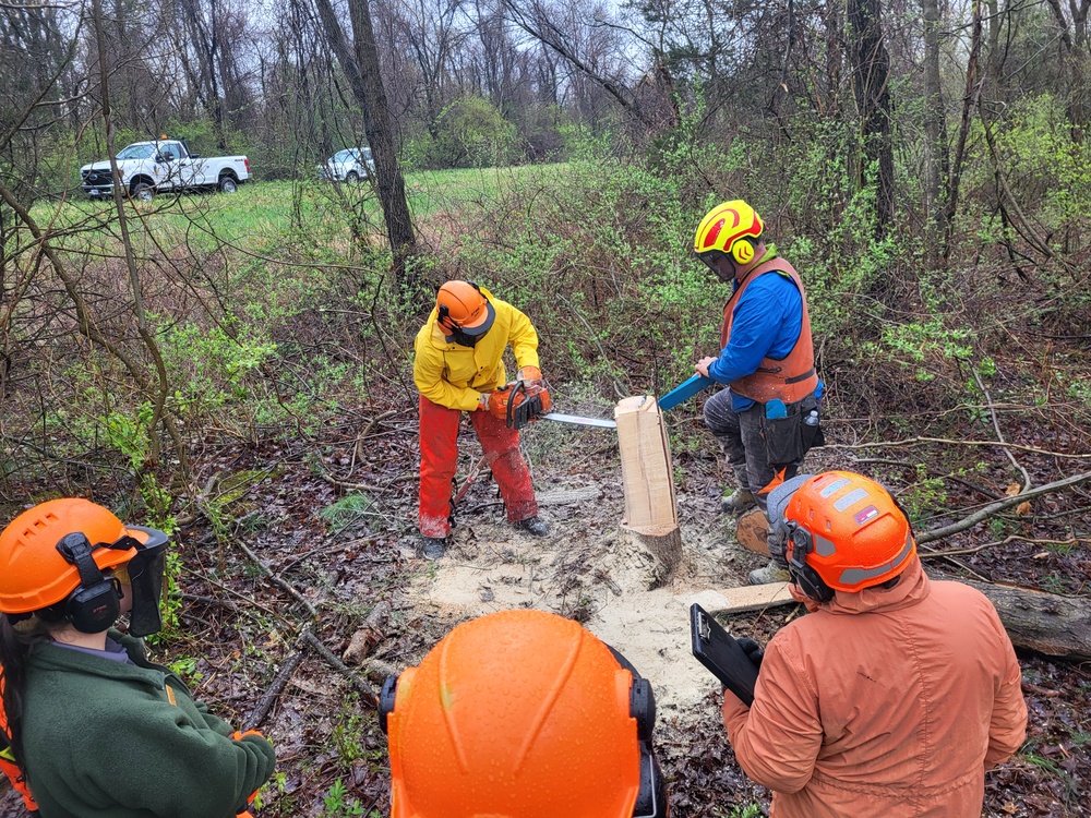 Chainsaw Training 2024