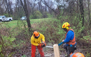 Chainsaw Training 2024