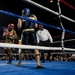 USNA Brigade Boxing