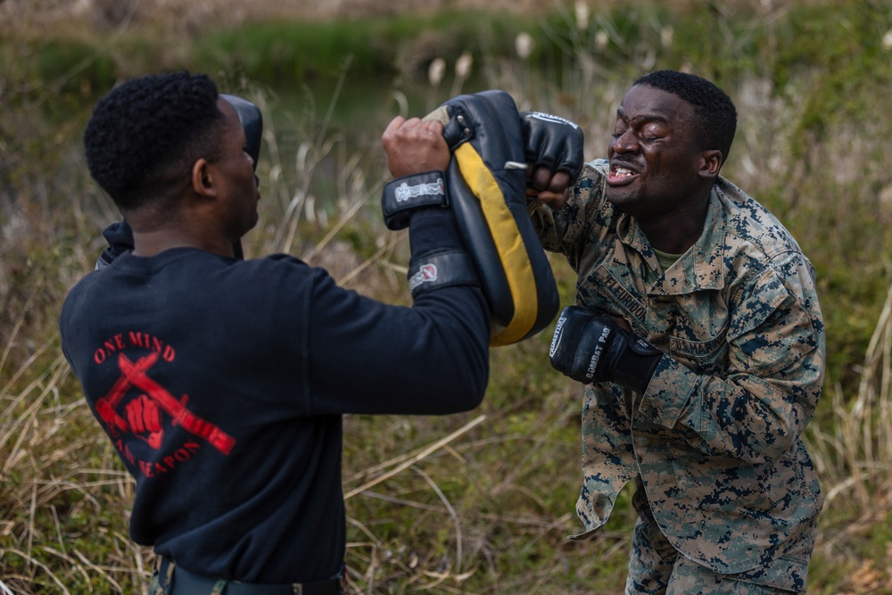 Martial Arts Instructor Trainer Course 1-24