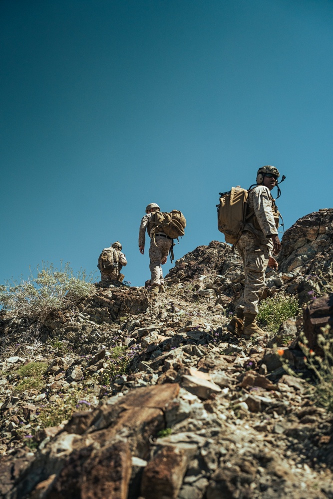 WTI 2-24: Tactical air control party exercise