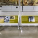 NMHM Galleries 2024