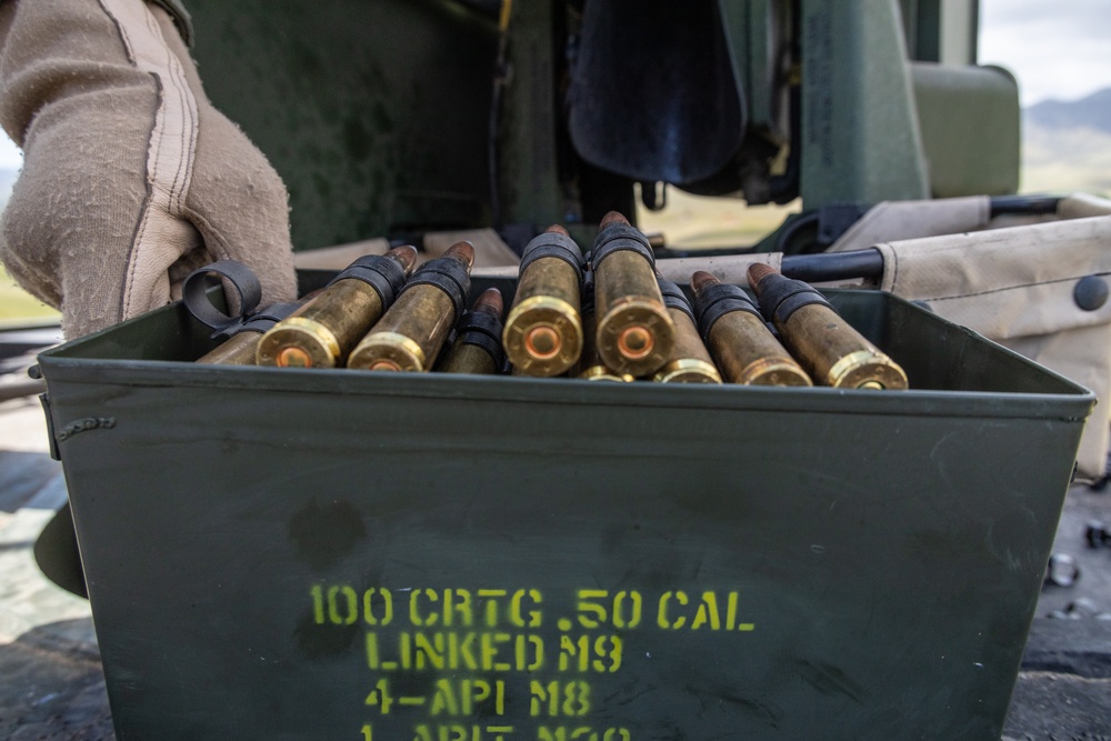 AAS students fire MK19s and M2A1s for an ACV gunnery exercise