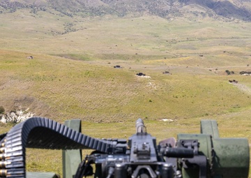 AAS students fire MK19s and M2A1s for an ACV gunnery exercise