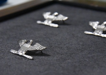 Ranks rest