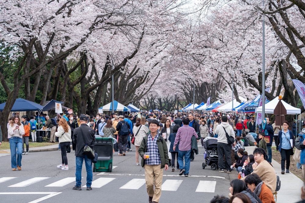 Sakura Spring Festival 2024 captivates community’s heart