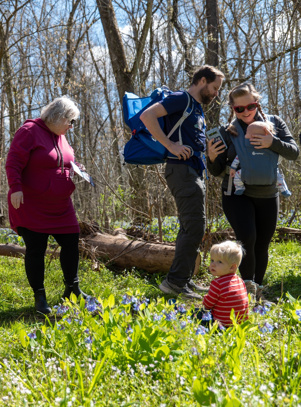 2024 Annual Bluebell Festival