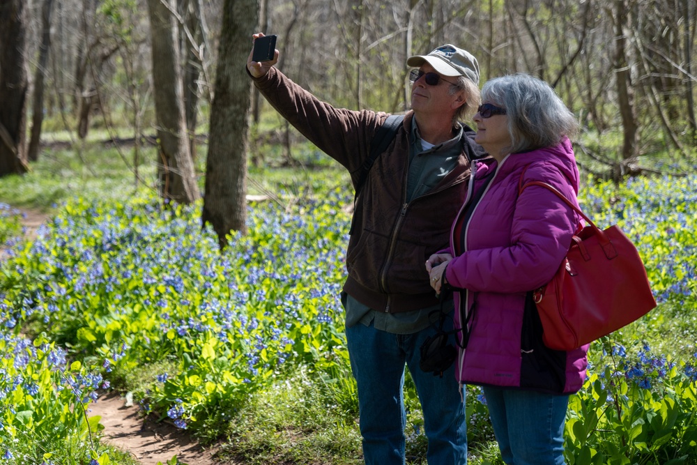 2024 Annual Bluebell Festival