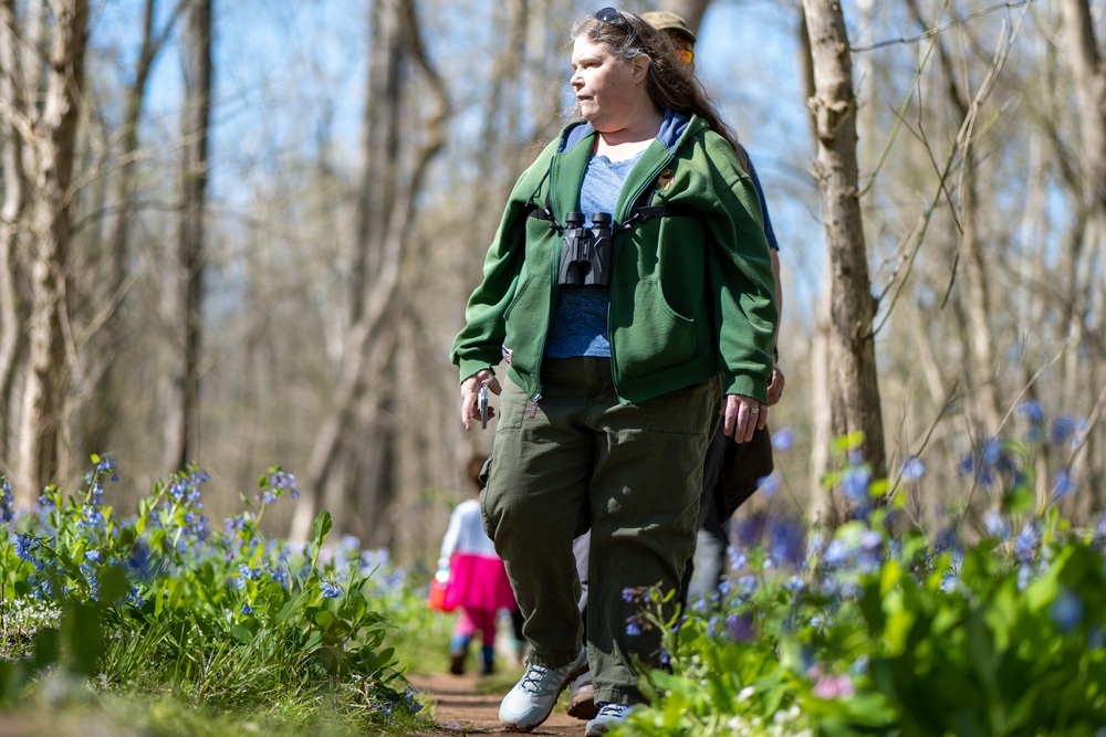 2024 Annual Bluebell Festival