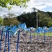 Pinwheels for Child Abuse Prevention Event