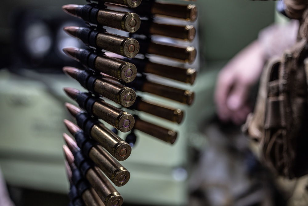 Marines with 4th Assault Amphibian Battalion conduct live-fire range