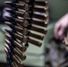 Marines with 4th Assault Amphibian Battalion conduct live-fire range