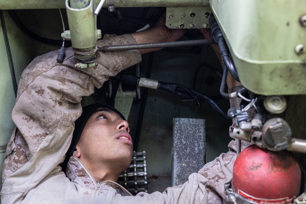 DVIDS - Images - Marines with 4th Assault Amphibian Battalion conduct ...