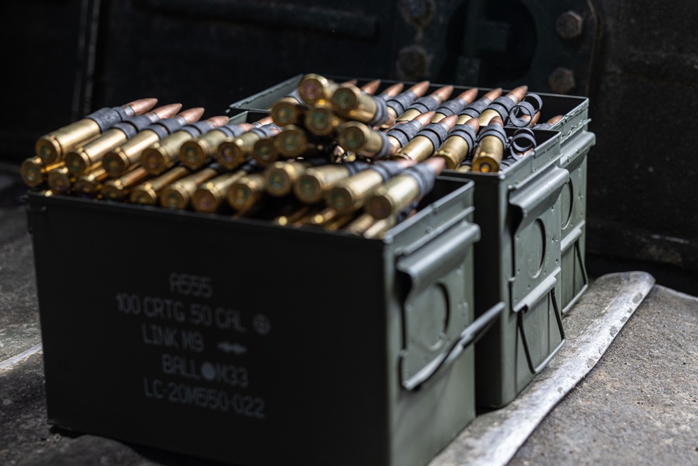 Marines with 4th Assault Amphibian Battalion prepare for ITX 4-24