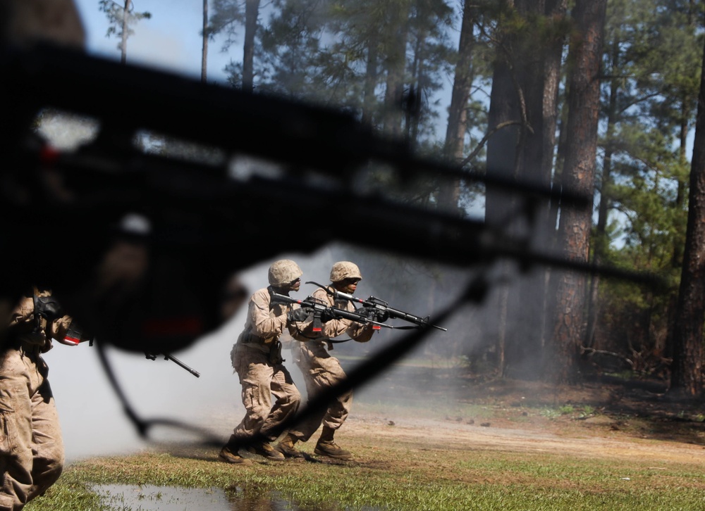 DVIDS - Images - Delta Company Basic Warrior Training [Image 1 of 5]