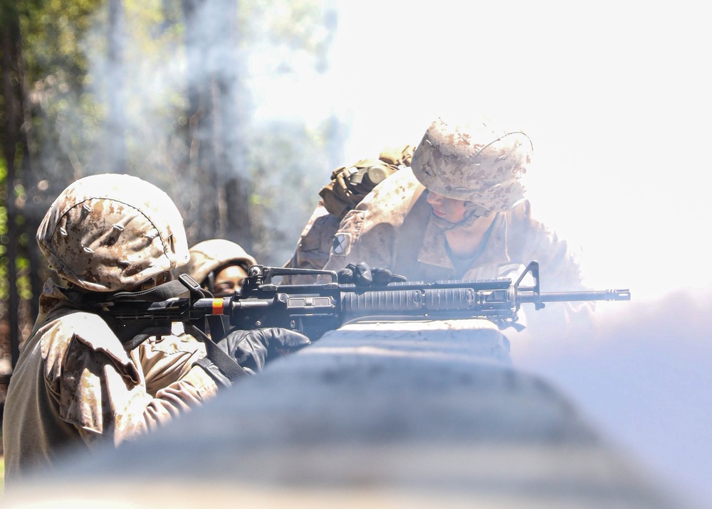 Delta Company Basic Warrior Training