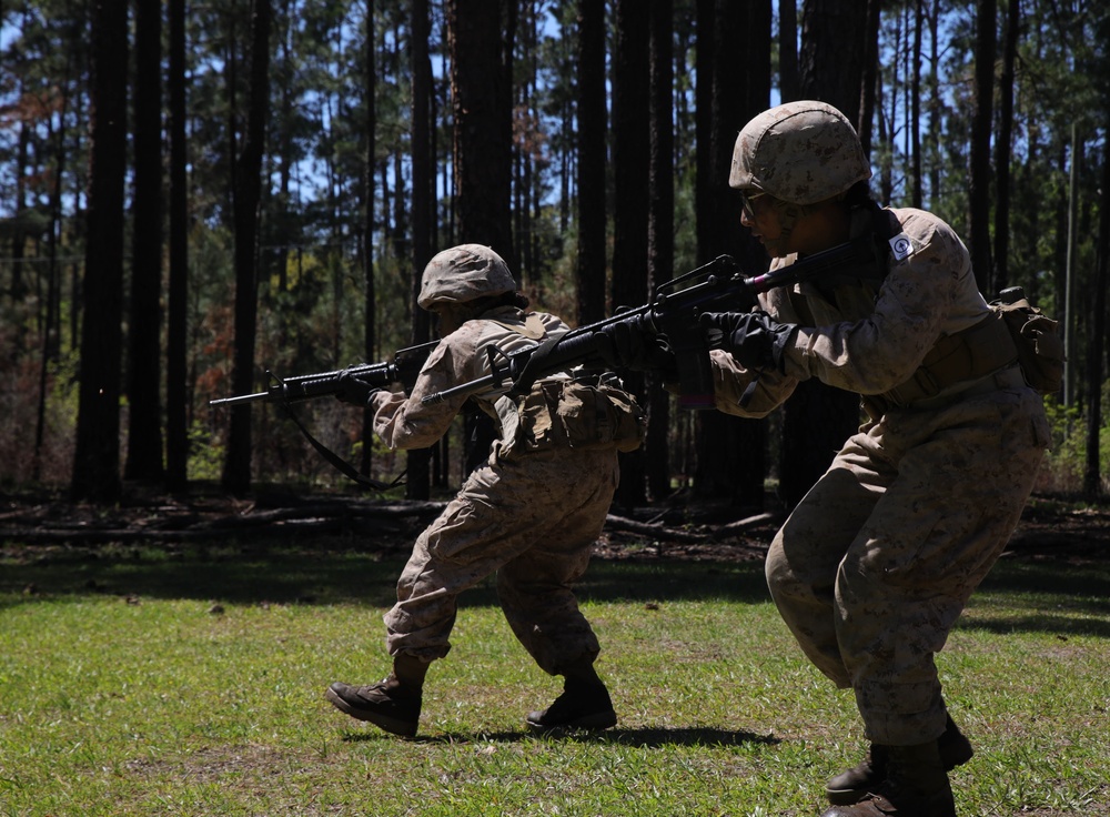 DVIDS - Images - Delta Company Basic Warrior Training [Image 7 of 8]