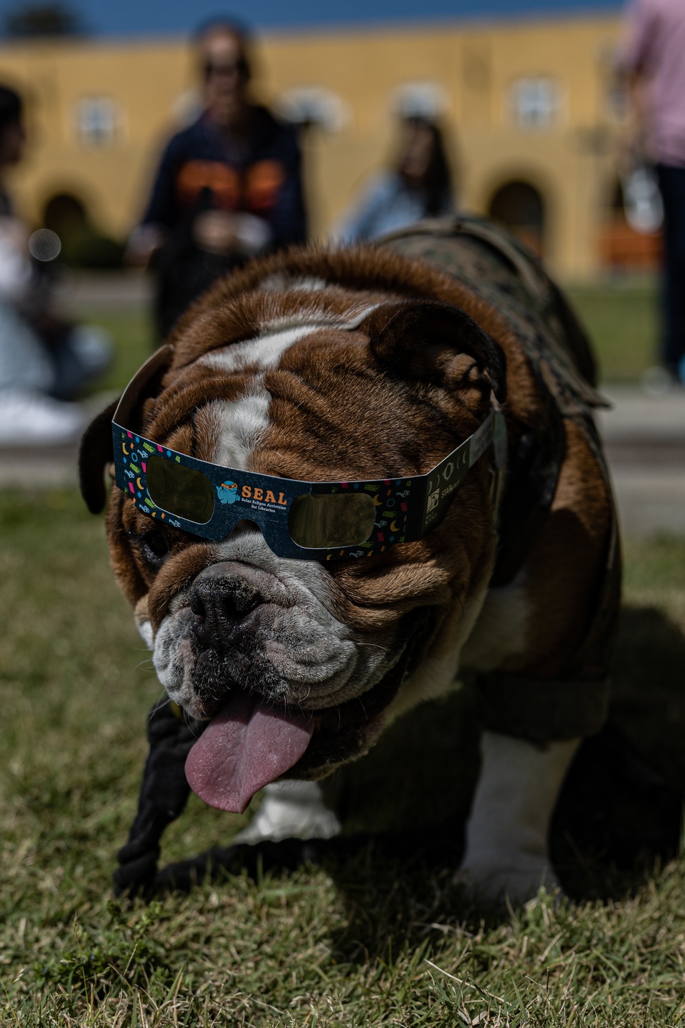 Mascot Monday – Solar Eclipse Watch Party